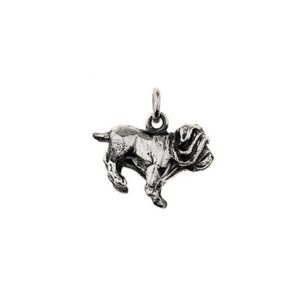 Charms Mastino