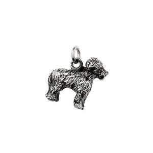 Charms Lagotto