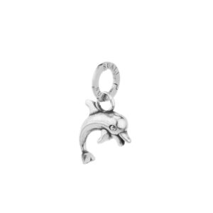 Charms Delfino