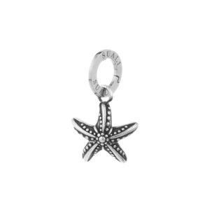 Charms Stella marina