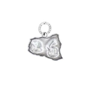 Charms Salina