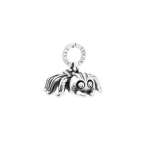 Charm Ragno