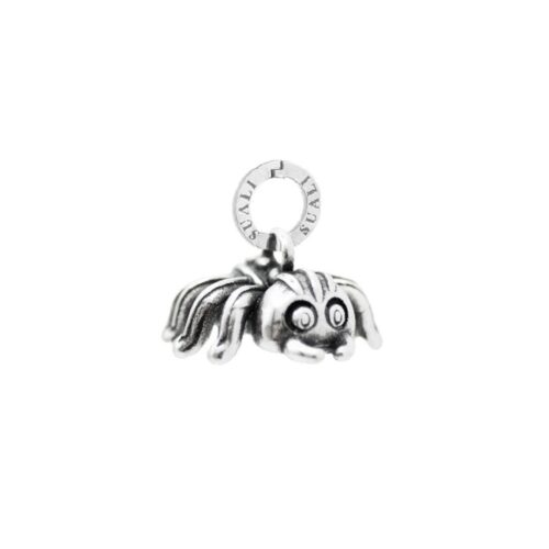 Charm Ragno