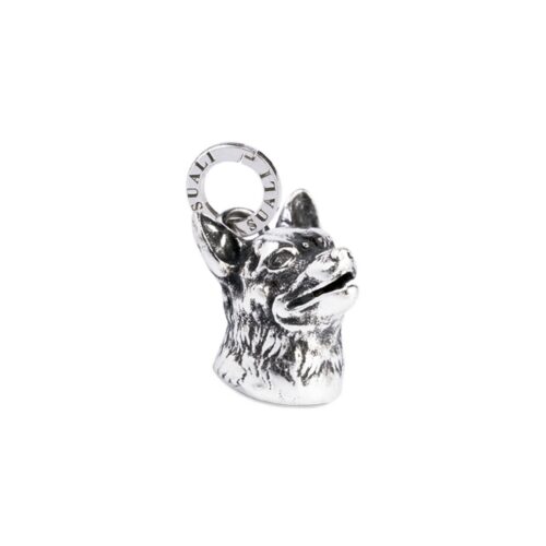 Charm Chihuahua